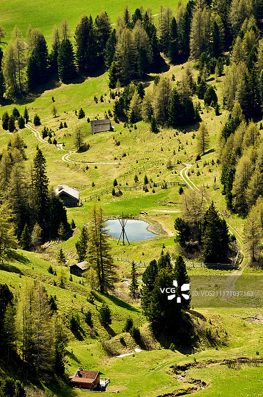 景观细节图片素材