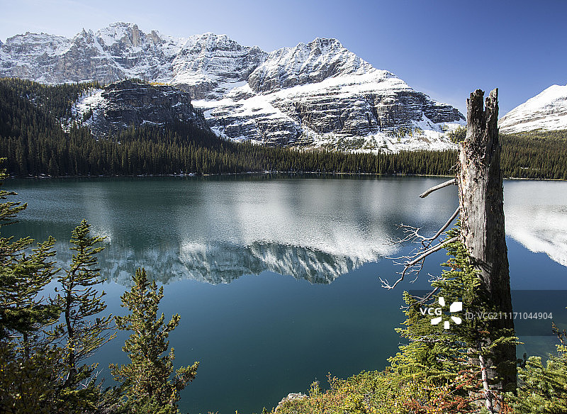 雪山倒映在欧哈拉湖中图片素材