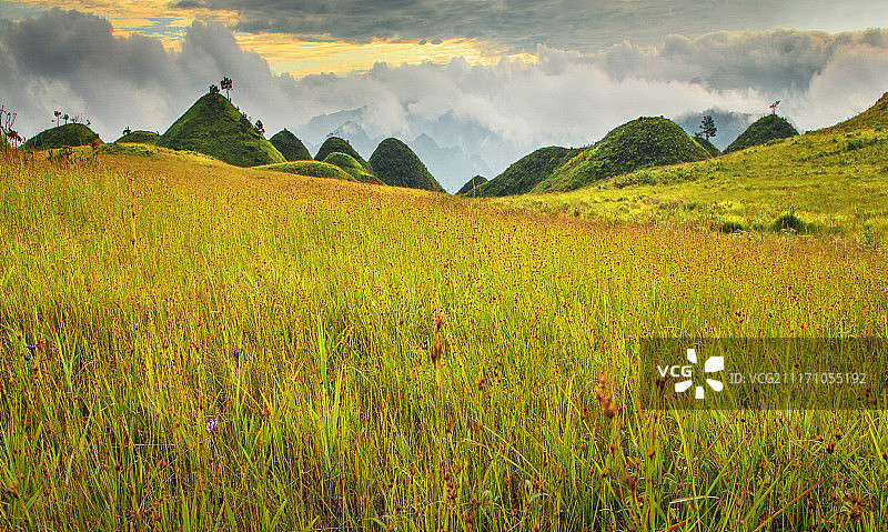 高山草甸图片素材