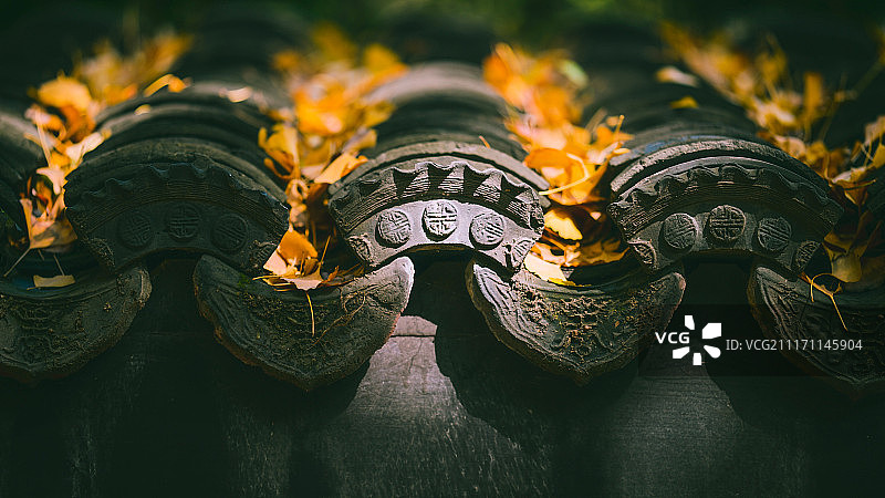 屋顶落叶图片素材