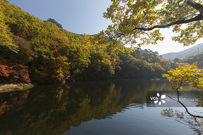 辽宁本溪老边沟风景区枫树林图片素材