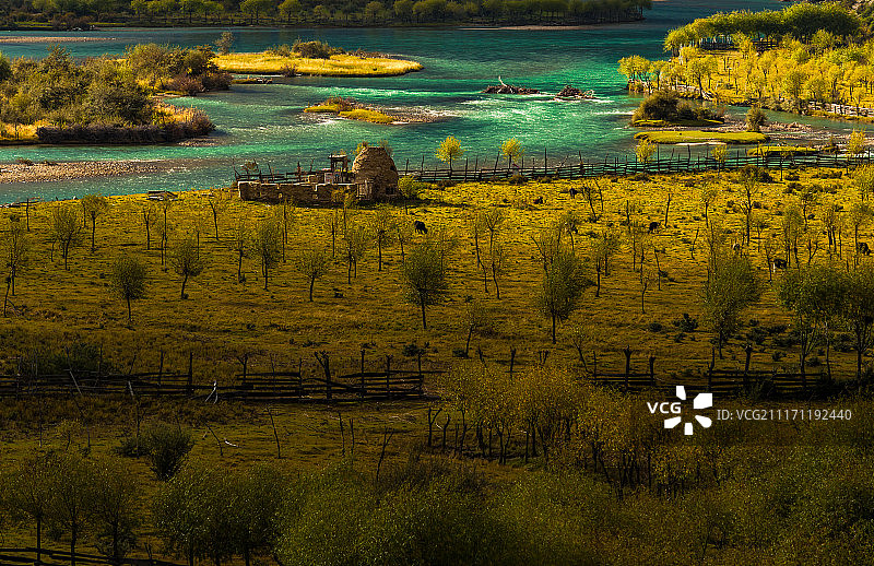 雅尼国家湿地公园图片素材