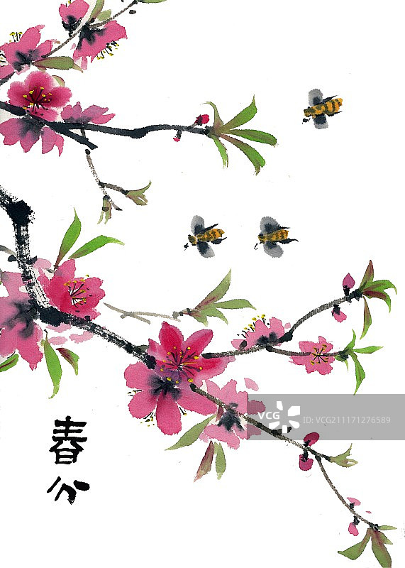 手绘水墨插画二十四节气之春分图片素材