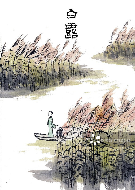 手绘水墨插画二十四节气之白露图片素材