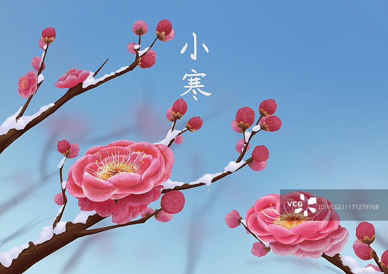 二十四节气插画-小寒（无人）图片素材