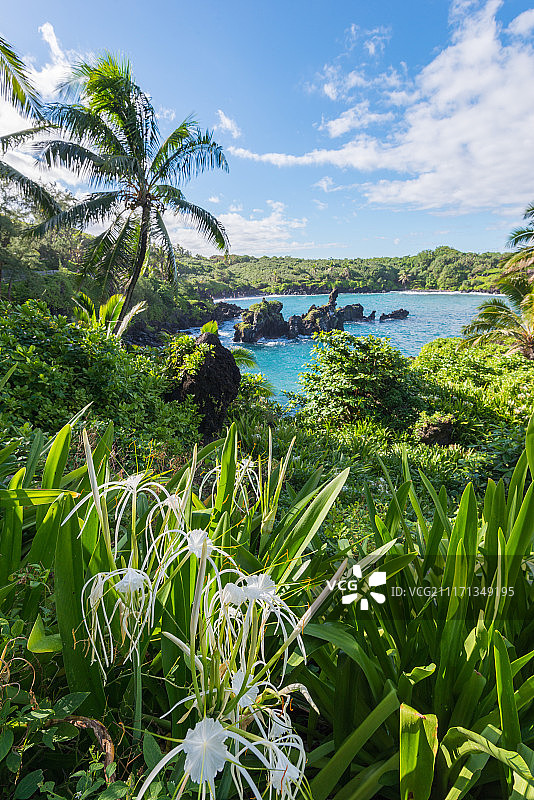 毛伊岛黑沙滩图片素材