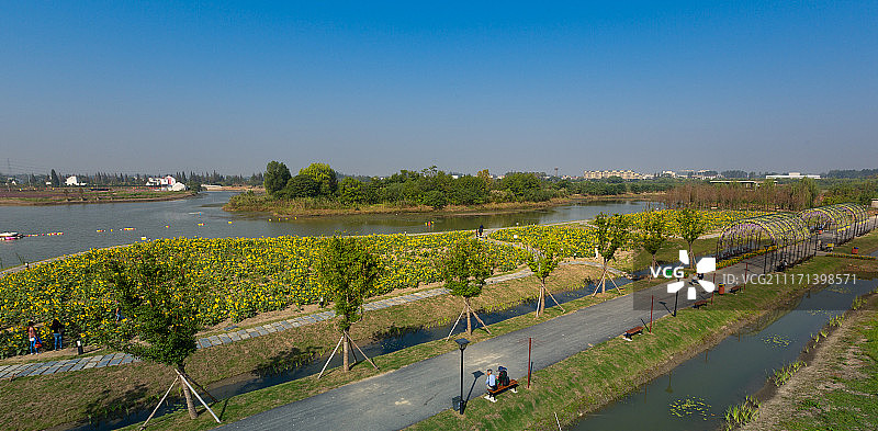 芜湖六郎湿地公园图片素材