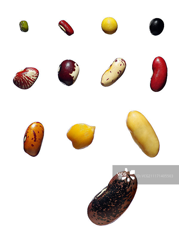 豆子图片素材