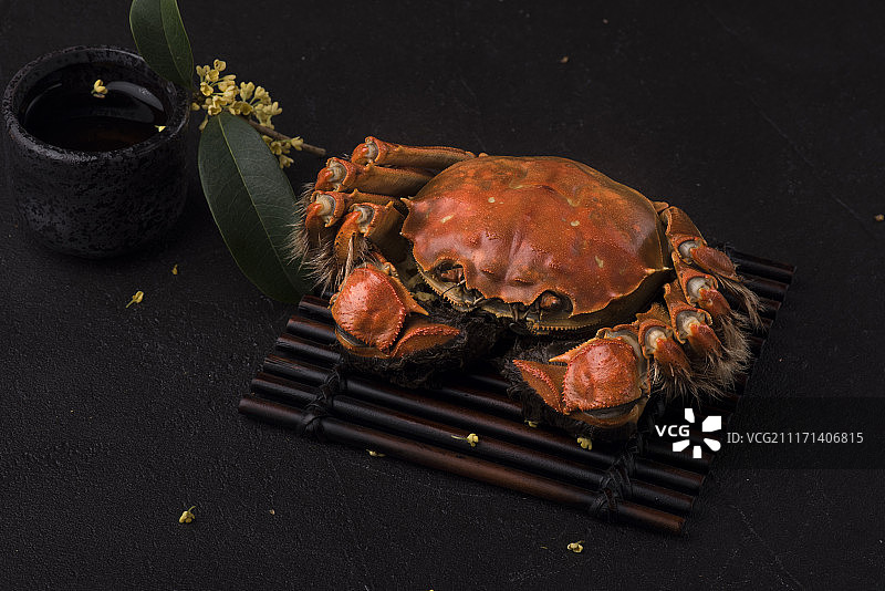 阳澄湖大闸蟹图片素材
