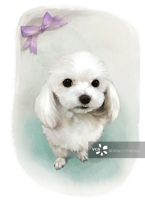 可爱的狗狗肖像图片素材