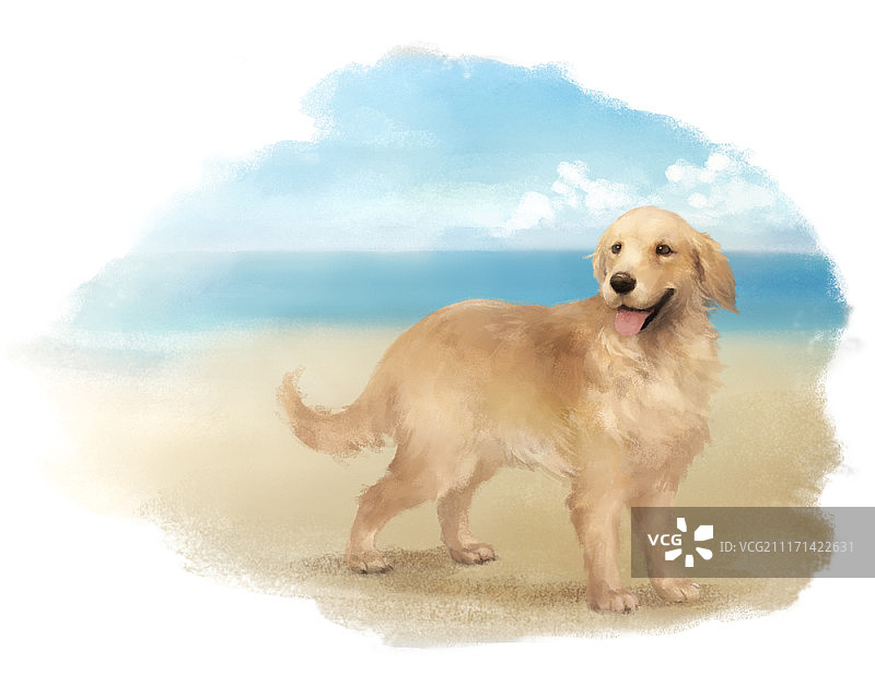 可爱的狗狗肖像图片素材