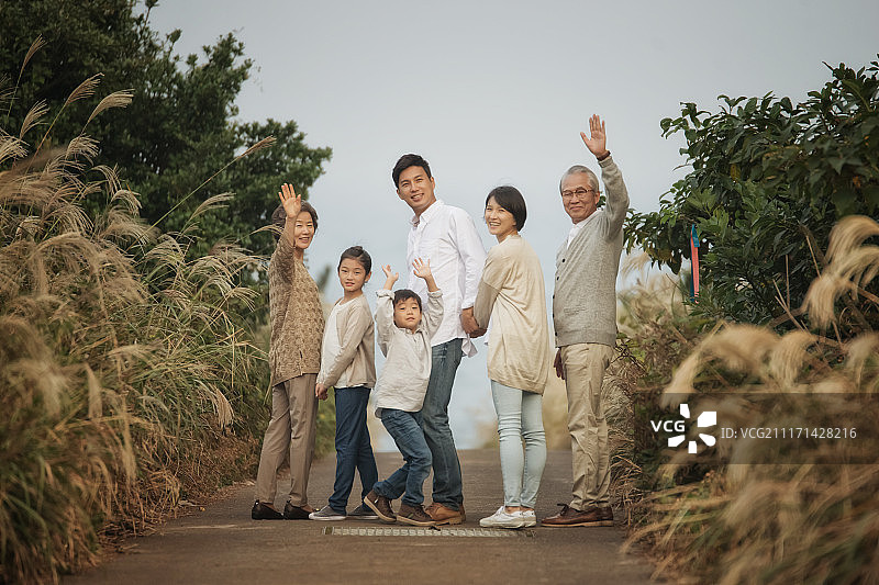 在济州岛银色草地附近，一家人手牵手问候摄影图片素材