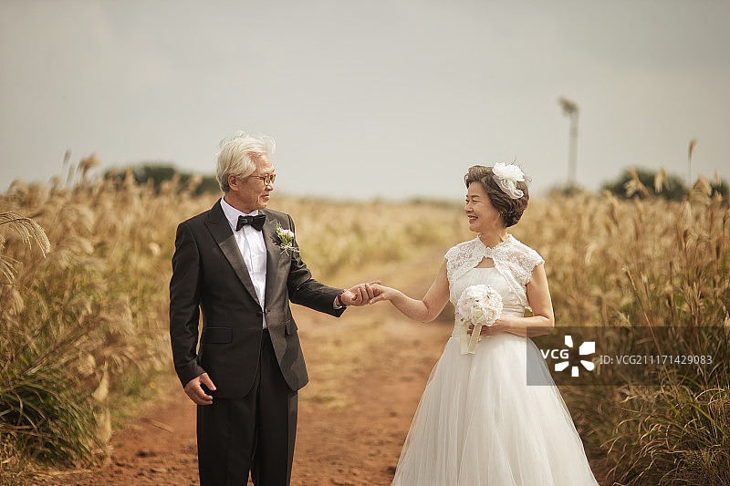 在芒草地旁牵手站立的年长夫妇婚纱照图片素材
