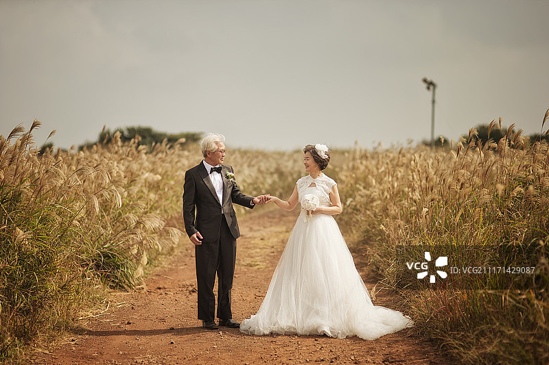 在芒草地旁牵手站立的年长夫妇婚纱照图片素材