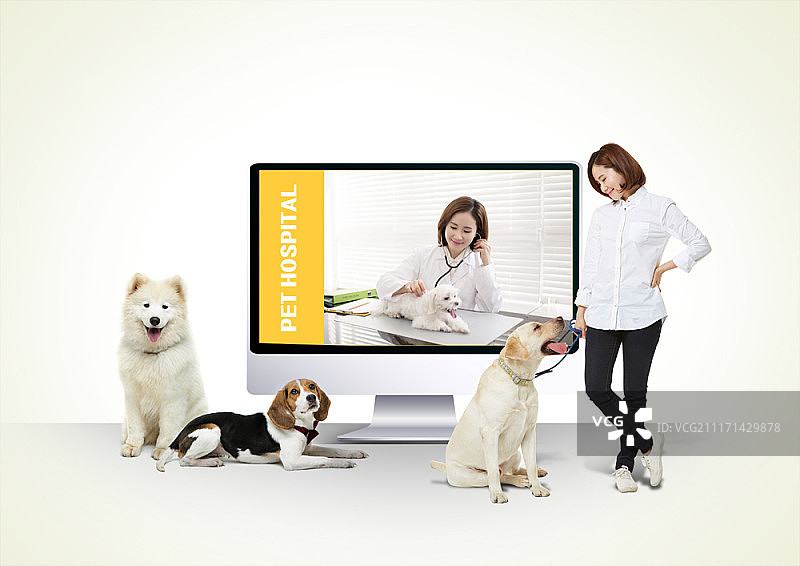 宠物主题合成图像图片素材