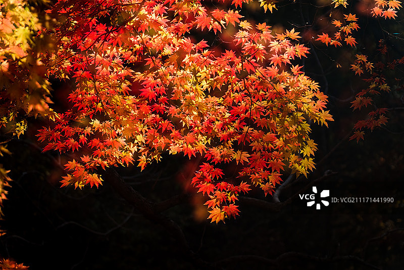 秋天关门山风景图片素材