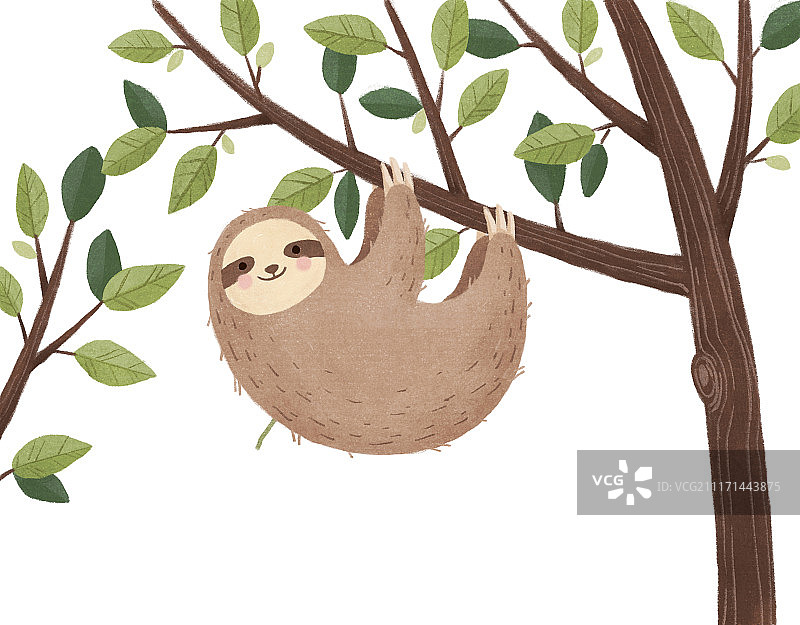 可爱树懒插画图片素材