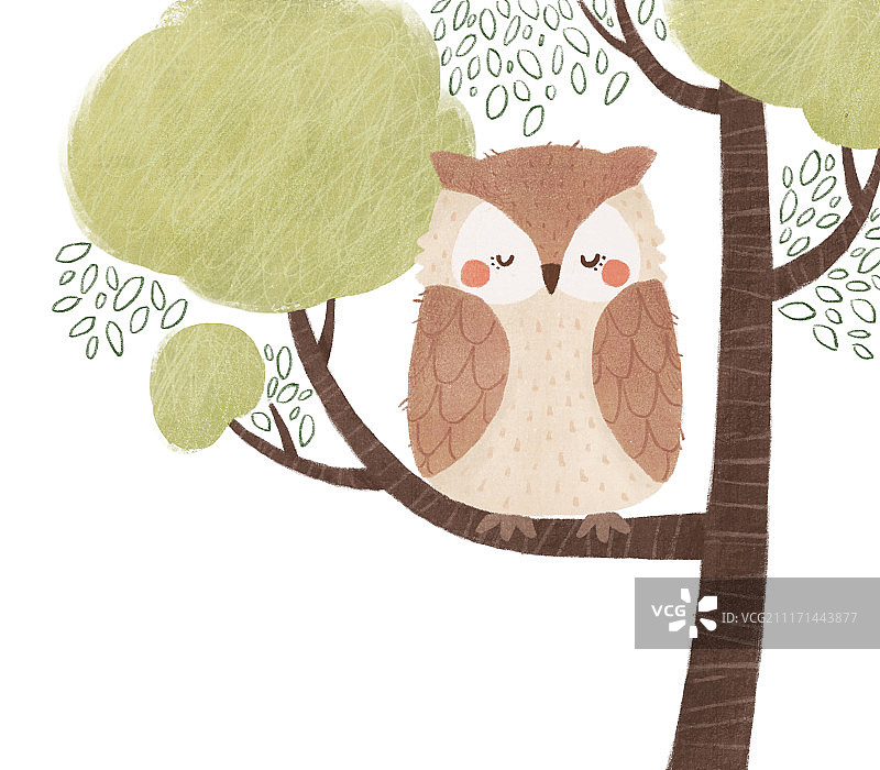 可爱猫头鹰插画图片素材