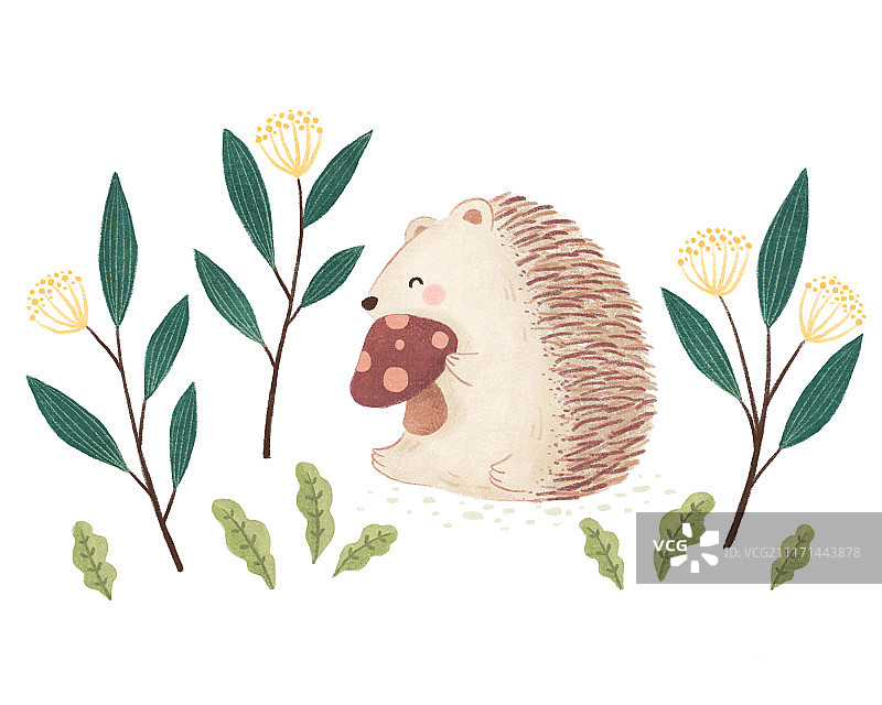 可爱刺猬插画图片素材