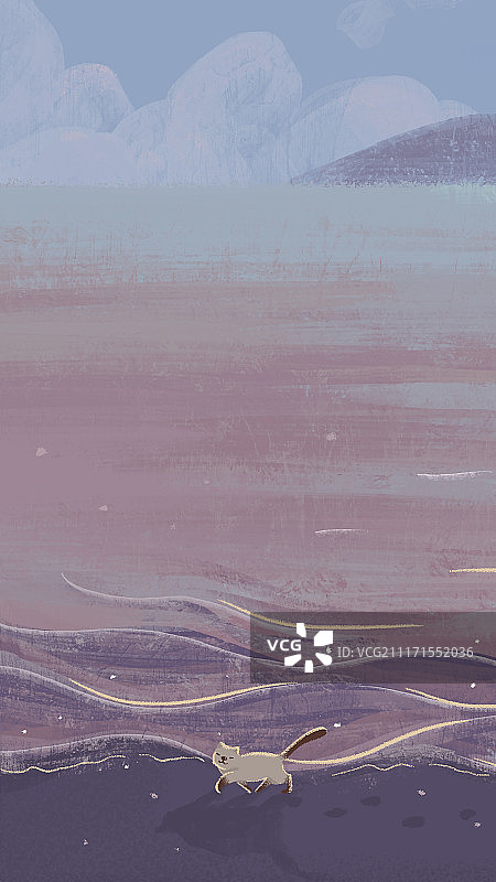 猫在海边散步图片素材