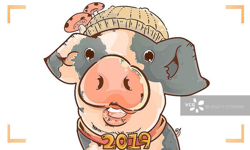 插画-猪图片素材