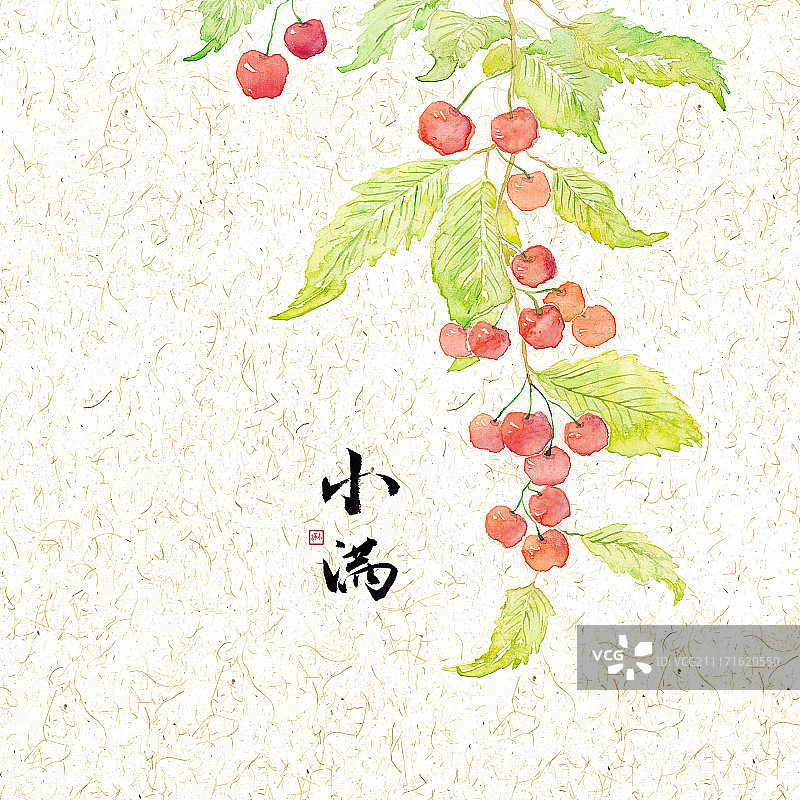 二十四节气之小满图片素材