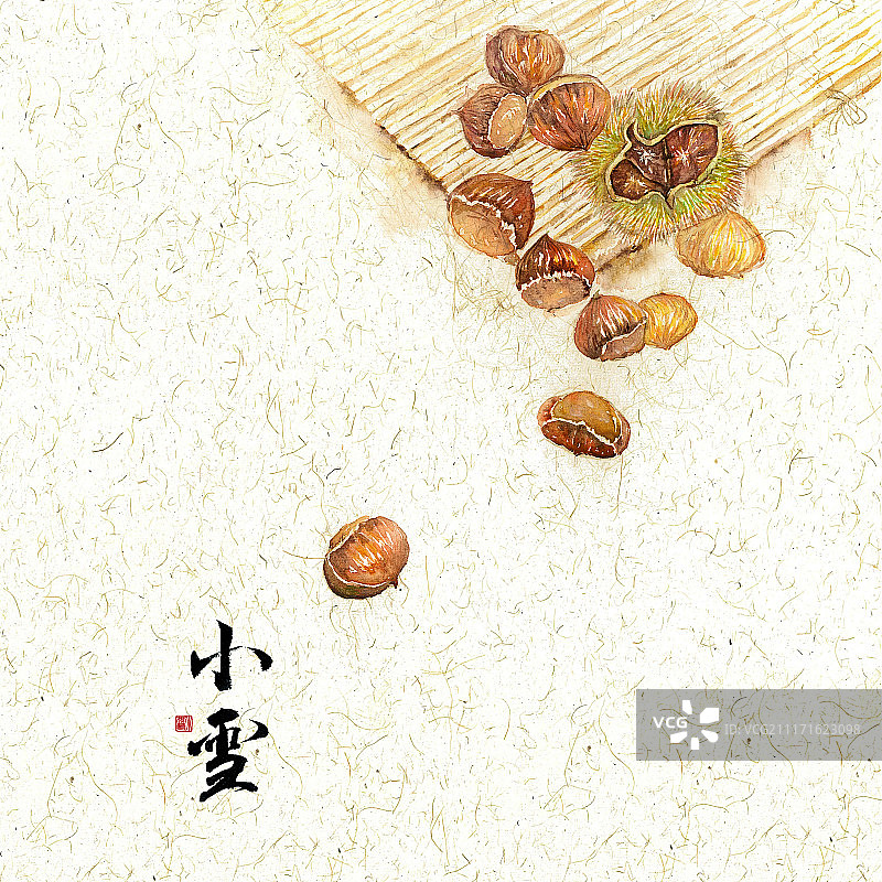 二十四节气之小雪板栗图片素材