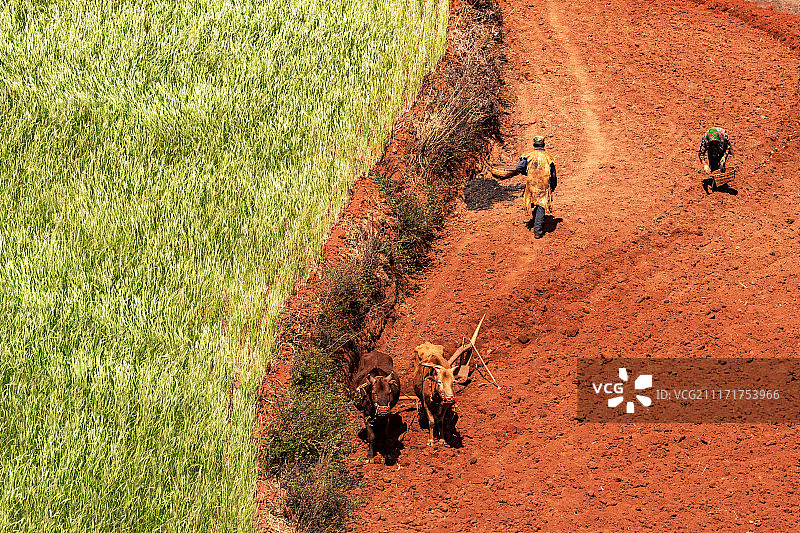 红土地耕作图片素材