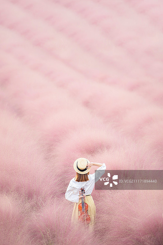 粉黛乱子草里的女性背影图片素材