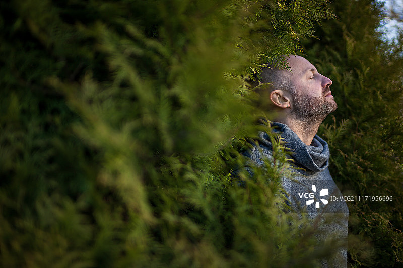 松树环绕的男人图片素材