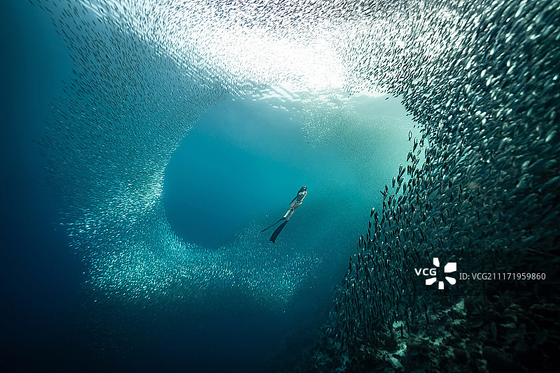 水下世界图片素材