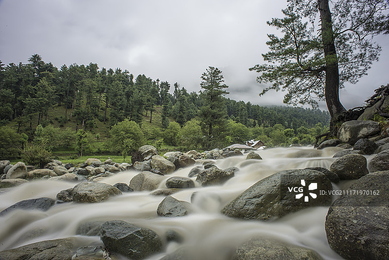 阴天山坡上的岩石河流和森林景观图片素材