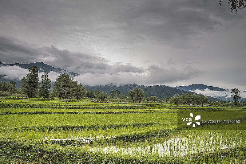 云雾笼罩的田野和山脉景观图片素材