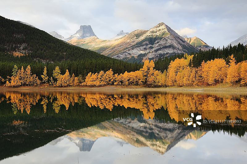 韦奇池塘的倒影图片素材