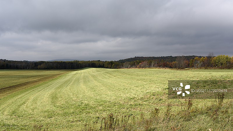 秋日之光图片素材