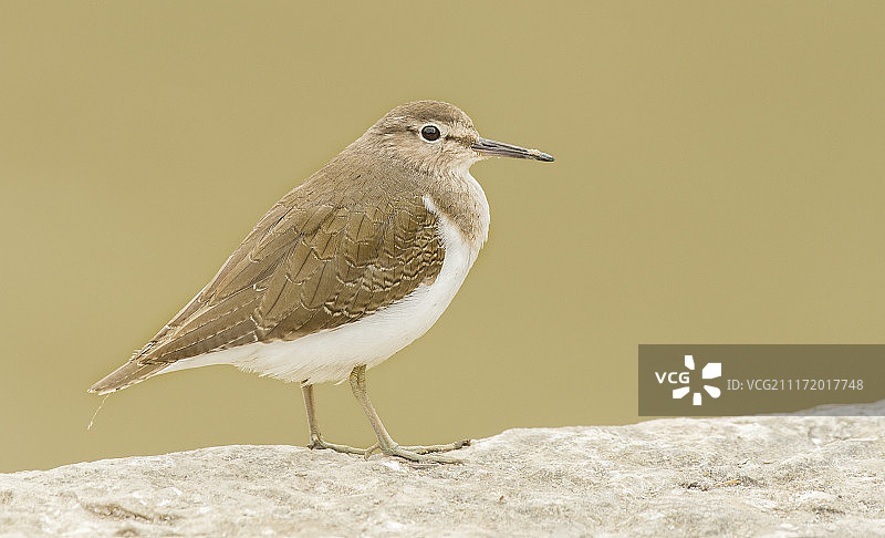 自然图像图片素材