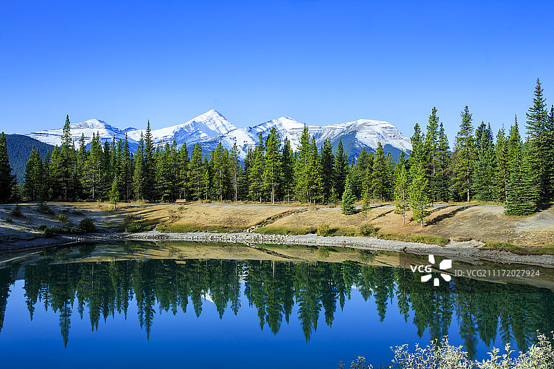 勿忘我池塘图片素材