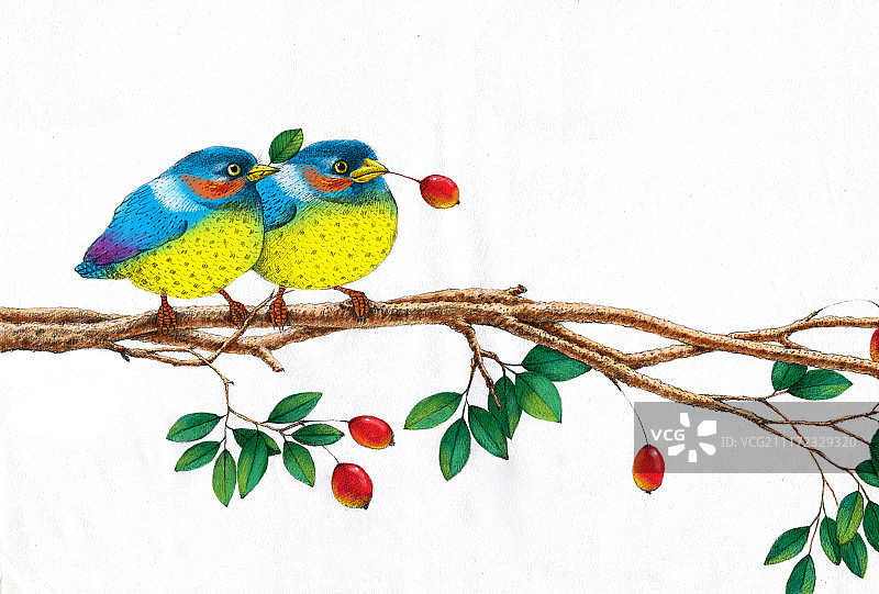 动物插画系列作品共3000幅-比翼鸟图片素材