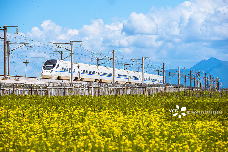 穿过金黄色油菜花的火车图片素材