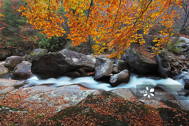 陕西省勉县云雾山景区 汉中图片素材