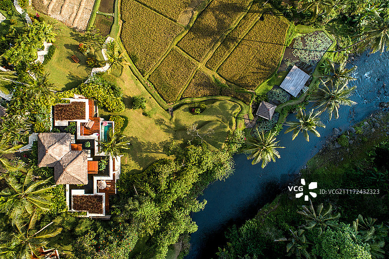 巴厘岛 乌布 丛林里的豪华酒店别墅图片素材