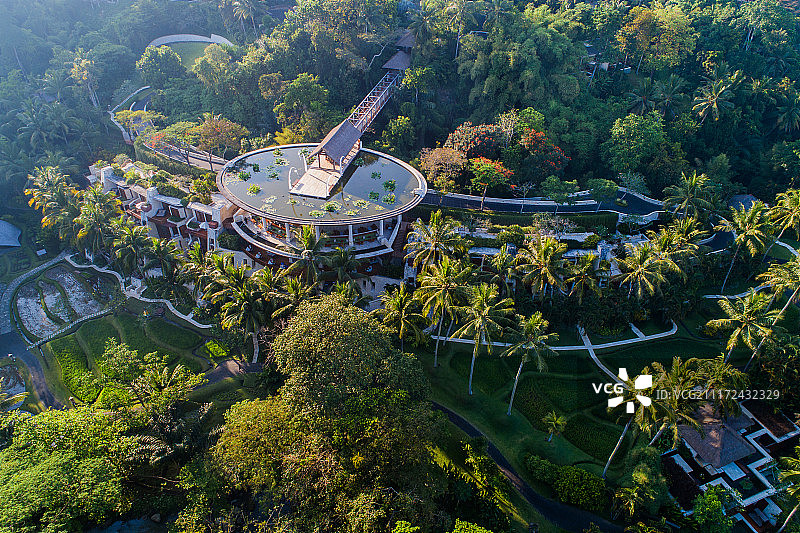 巴厘岛 乌布 热带丛林里的豪华酒店别墅图片素材