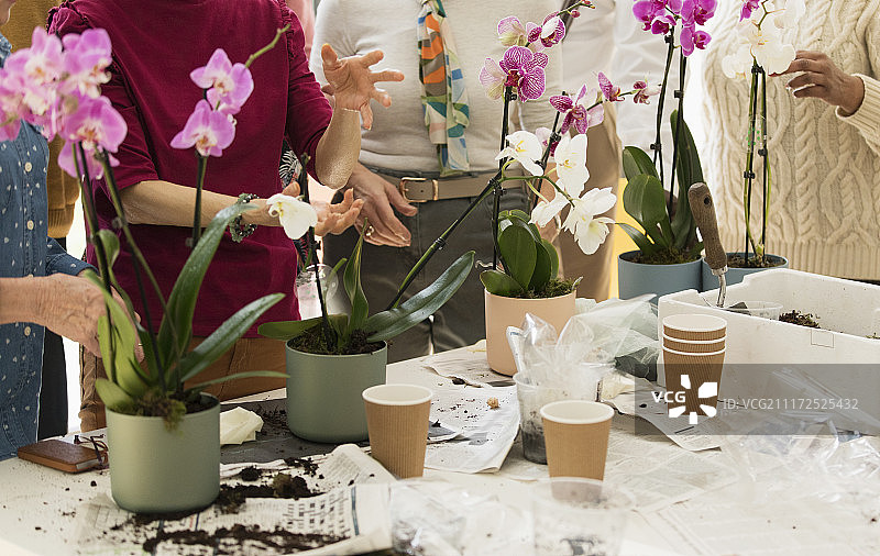 享受插花课程的活跃老年人图片素材