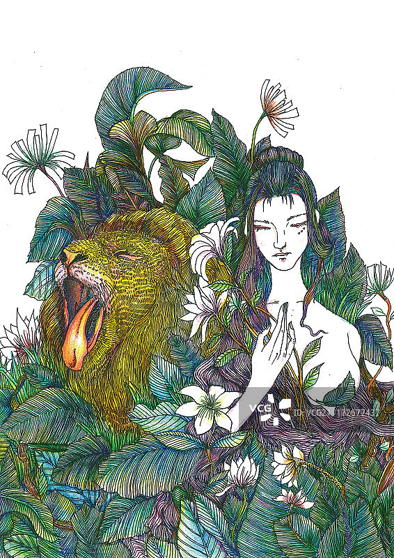 狮心菩提图片素材