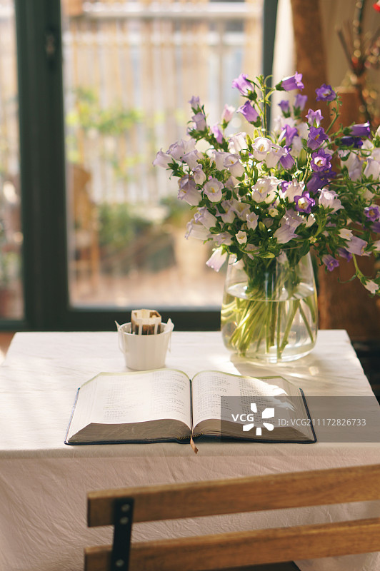 摊开的书与鲜花图片素材