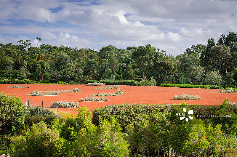 橙子口味图片素材
