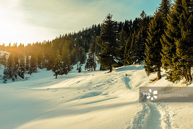 阳光冬季图片素材