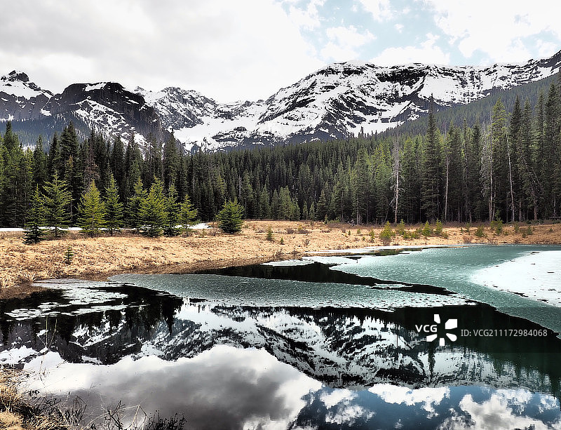 春日带来明媚图片素材