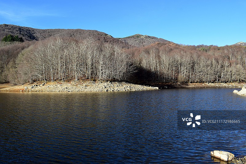 沼泽与河流图片素材