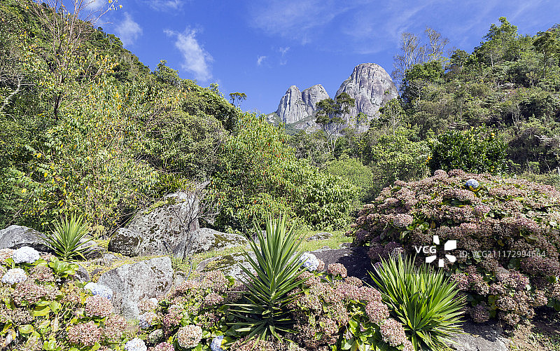 繁茂的自然图片素材